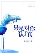 只是对你认了真内容简介