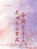 女主是光明圣女