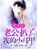 重生后我成了四个反派的后娘