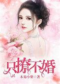 只撩不婚总裁大人