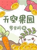 天空果园2.0版