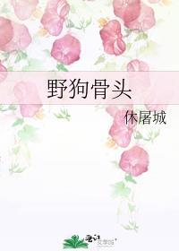 野狗骨头晋江文学城