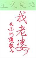 电视连续剧九十年代