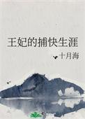 王妃的捕快生涯原著