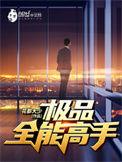 极品全能高手宝藏