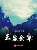 玉宸金章大结局是什么