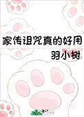 家传什么意思