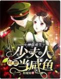 少帅夫人只想当咸鱼