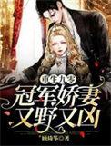 重生九零冠军娇妻又野又凶顶点