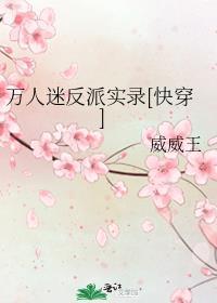 万人迷反派实录快穿 作者威威王