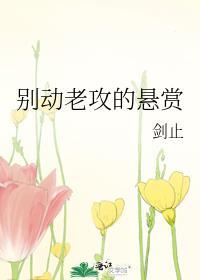 好巧不巧我在等你是哪本的台词