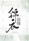 锦衣良缘txt