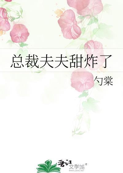 总裁夫郎
