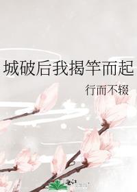 城破后我揭竿而起行儿不缀