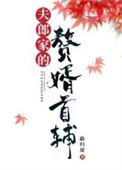 夫郎家的赘婿首辅晋江