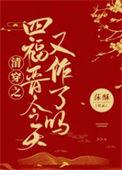 清穿之四爷的侧福晋全文免费阅读