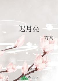 迟月亮全文免费番外求婚上