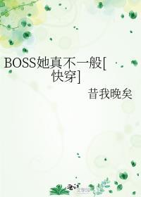 boss他又来了原名