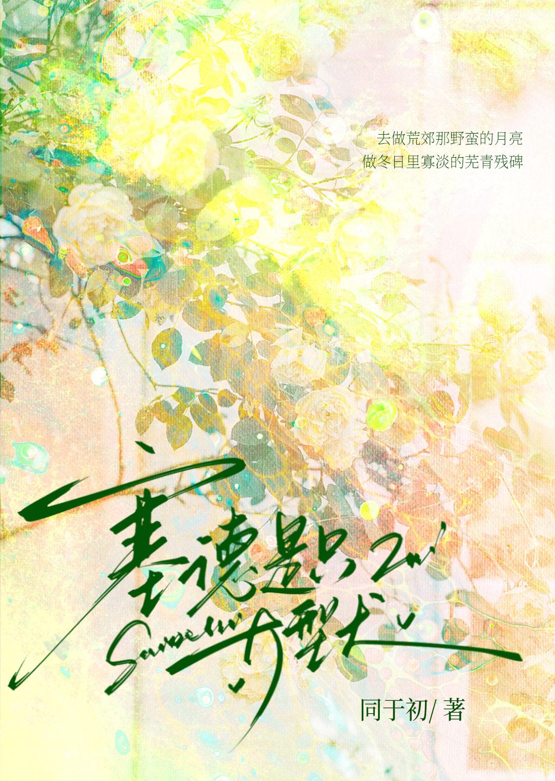 赛德同人