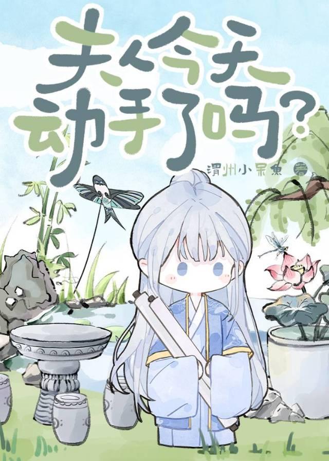 夫人今天又要离婚吗