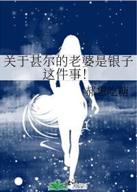 关于甚尔的老婆是银子这件事笔趣阁