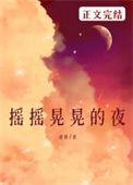 摇摇晃晃的夜作者漾梨笔趣阁