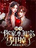 你家小祖宗马甲掉了更新