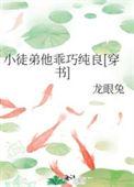 徒弟太乖怎么办全文阅读