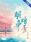 明争暗秀讲的什么故事