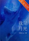 我见月光by怀南小山番外