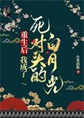 重生后我成了死对头的白月光原文阅