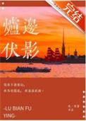 炉边伏影免费阅读