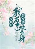 穿越后替身的