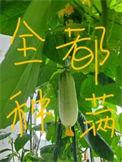 全修真界把我当团宠