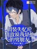 假装失忆后情敌说我是他的男朋友未删减版