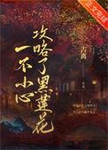 一不小心攻略了黑莲花好看吗
