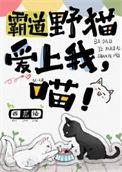 霸道 山猫