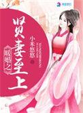 暖婚之贤妻至上全文免费阅读
