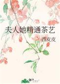 夫人精通茶艺在线阅读