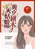 灰姑娘n文