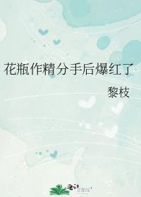 花瓶男友