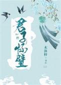 君子怀璧大概故事概括