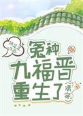 清穿九福晋空间