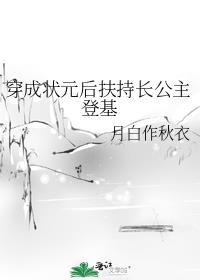 穿成状元郎的