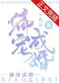 五号工装txt