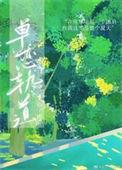 单恋讲的什么