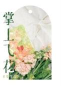 掌上飞花番外TXT