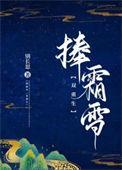 捧霜雪的免费阅读网址