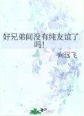 好兄弟间没有纯友谊了吗by向远飞