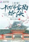 清穿之十四爷女穿男